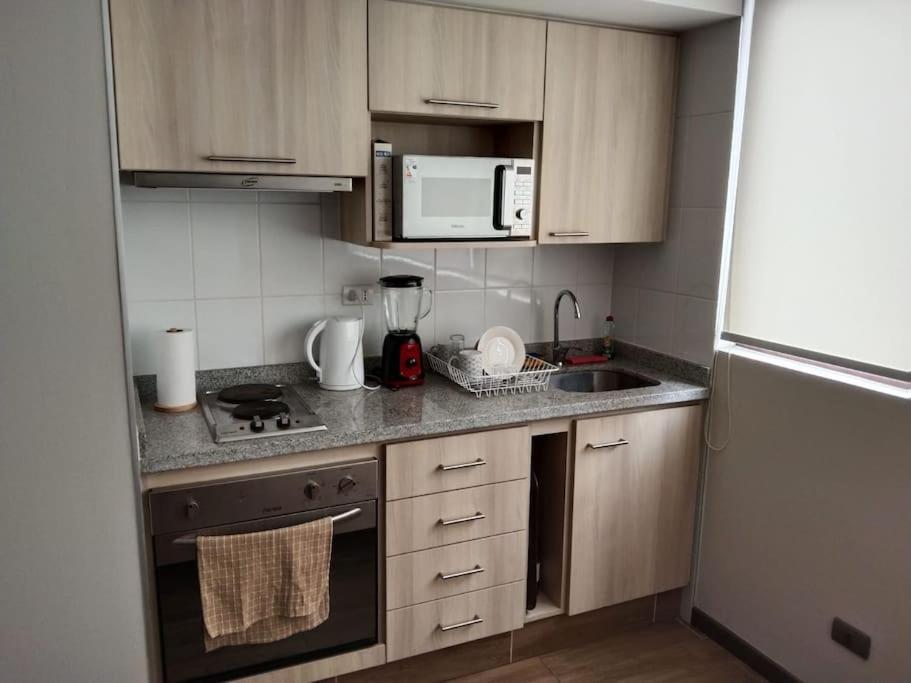 Departamento Nuevo Tipo Estudio En Pleno Centro -8 Lägenhet Concepción Exteriör bild