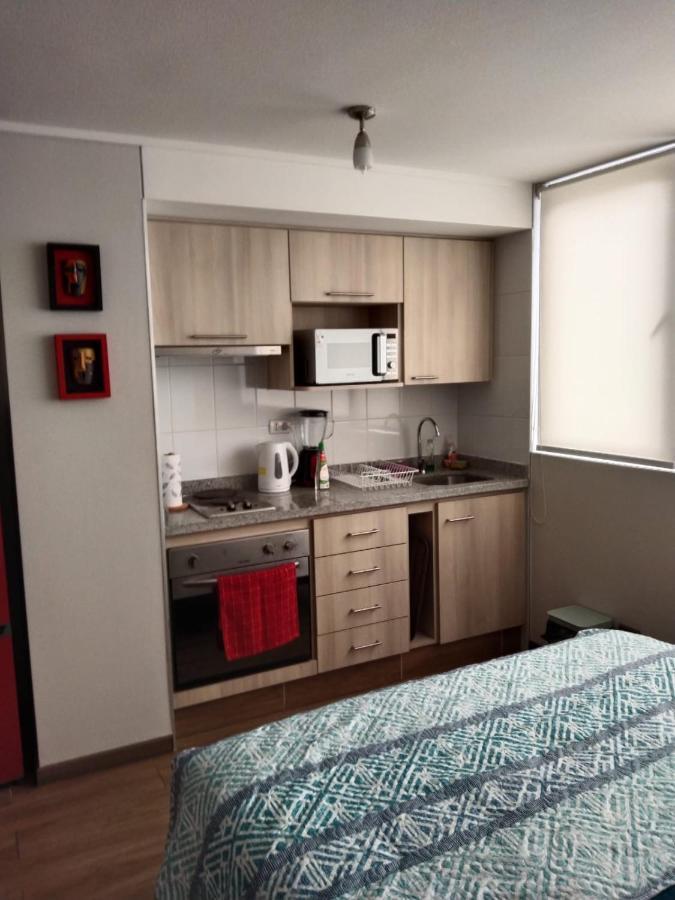 Departamento Nuevo Tipo Estudio En Pleno Centro -8 Lägenhet Concepción Exteriör bild
