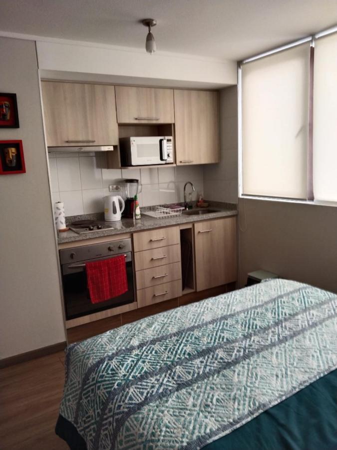 Departamento Nuevo Tipo Estudio En Pleno Centro -8 Lägenhet Concepción Exteriör bild